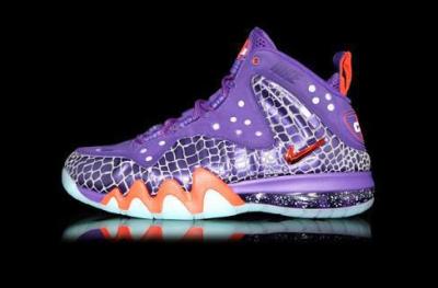 Nike Barkley Posite Max-21